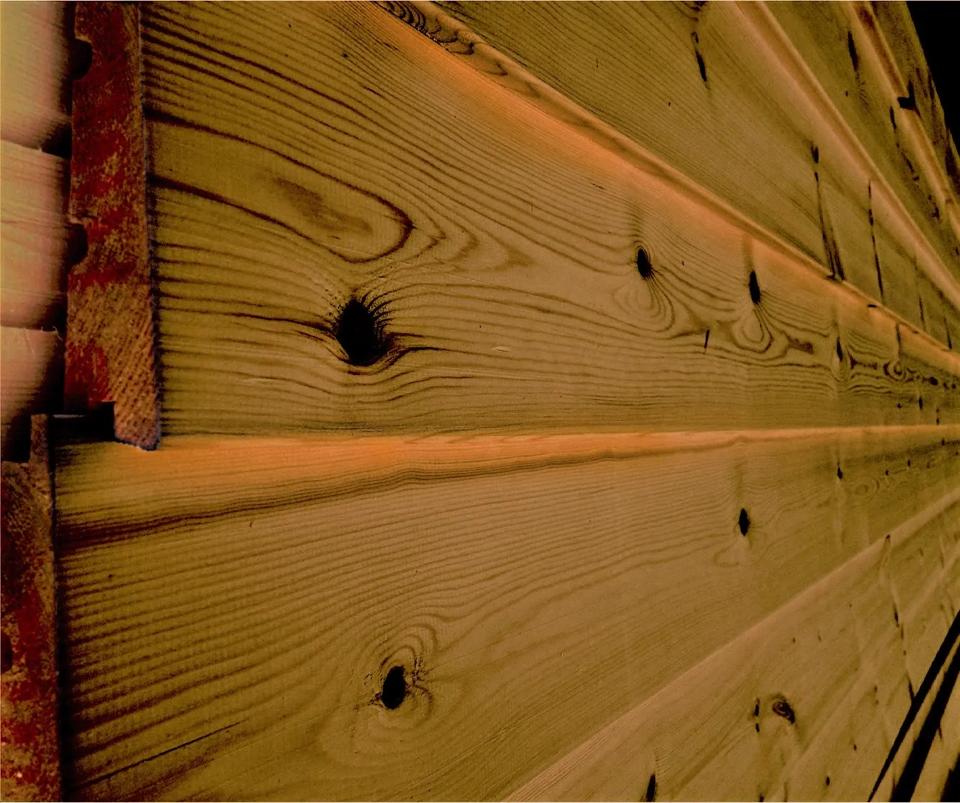 IMG_1102_embotismeno